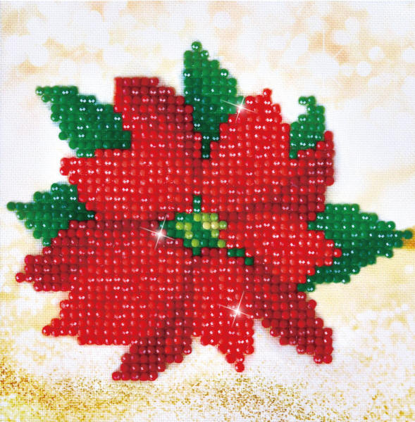 Large Picture of Poinsettia 