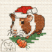 Festive Guinea Pig