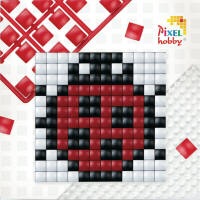 Pixel Hobby - XL Starter Box - Ladybird