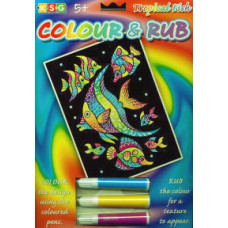 KSG Colour and Rub Kit - Tropical Fish KSG Colour and Rub Kit - Tropical Fish