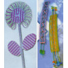 Super Value Cord and Book Kit - Flex Rex Lacing and Handbook Super Value Cord and Book Kit - Flex Rex Lacing and Handbook