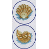 Stitch Garden Counted Cross Stitch Kit - Clam Shell and Conch Shell